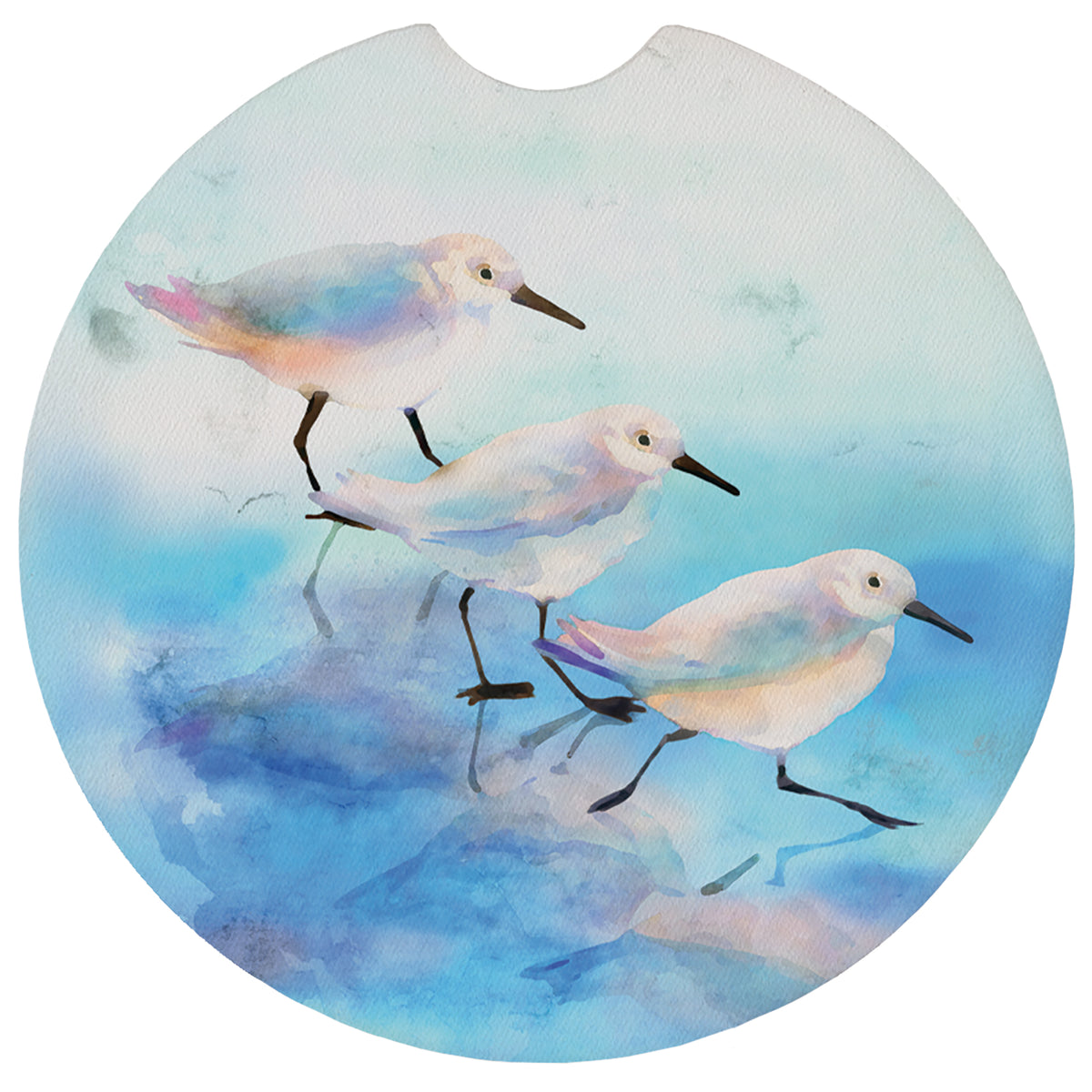Blue Sandpipers Art
