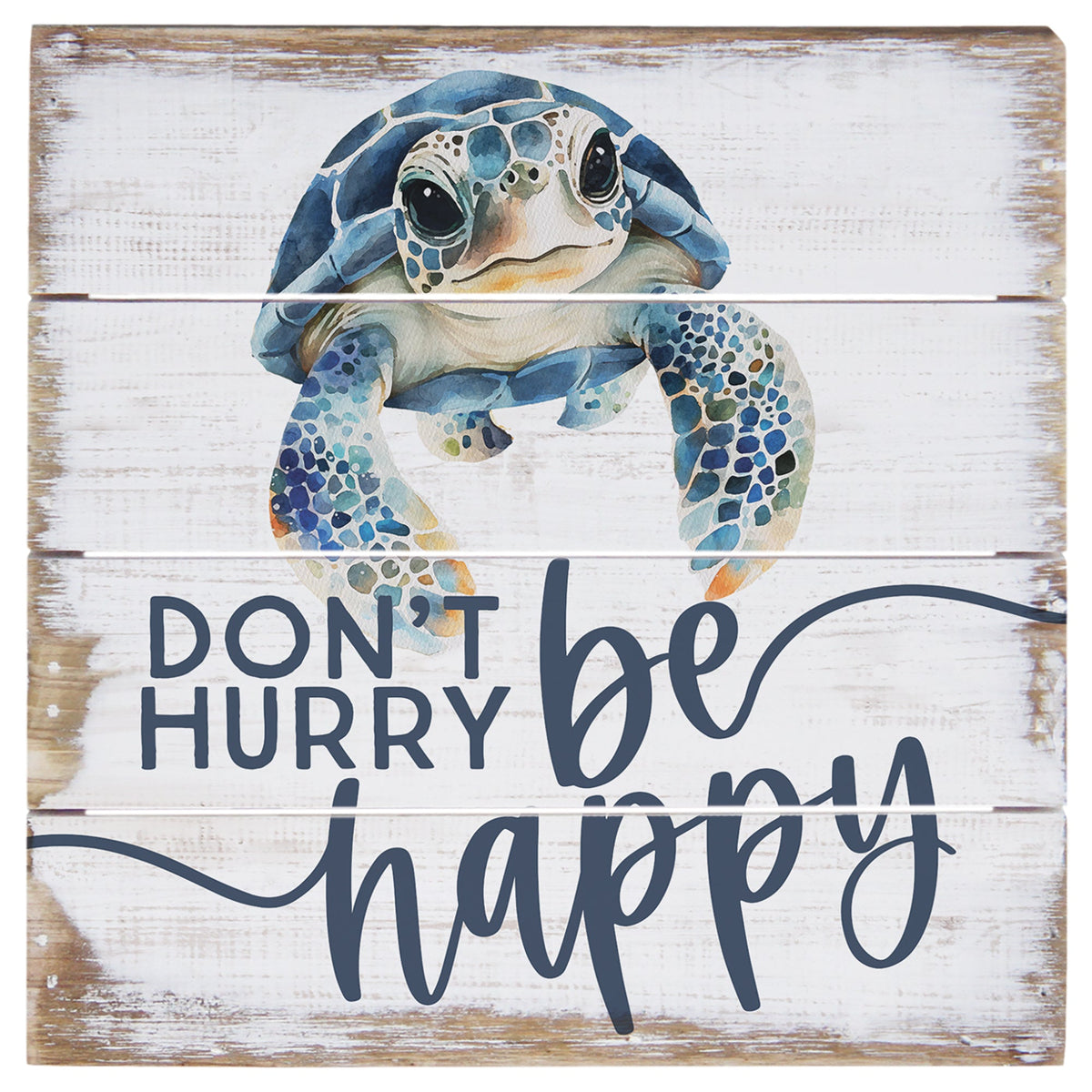 Don't Hurry Turtle - 6"