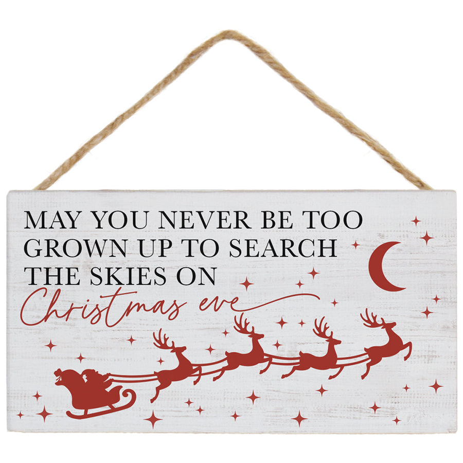 Search The Skies Santa