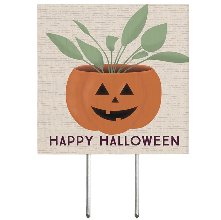 Jack-O-Lantern Plant