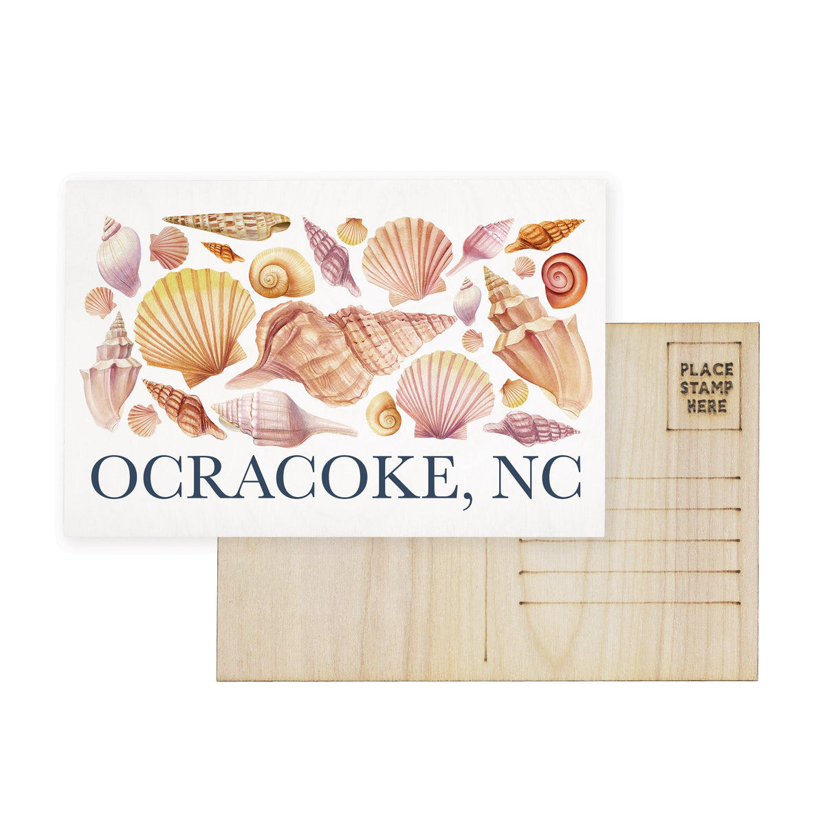 Seashells Collage LOC