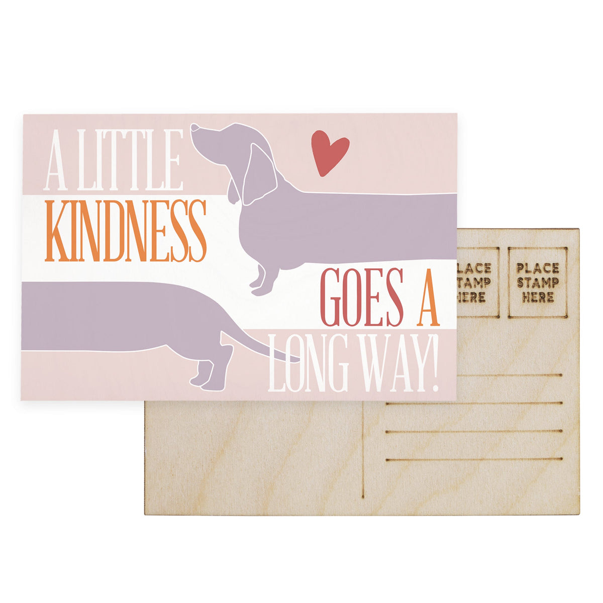 Little Kindness Dog