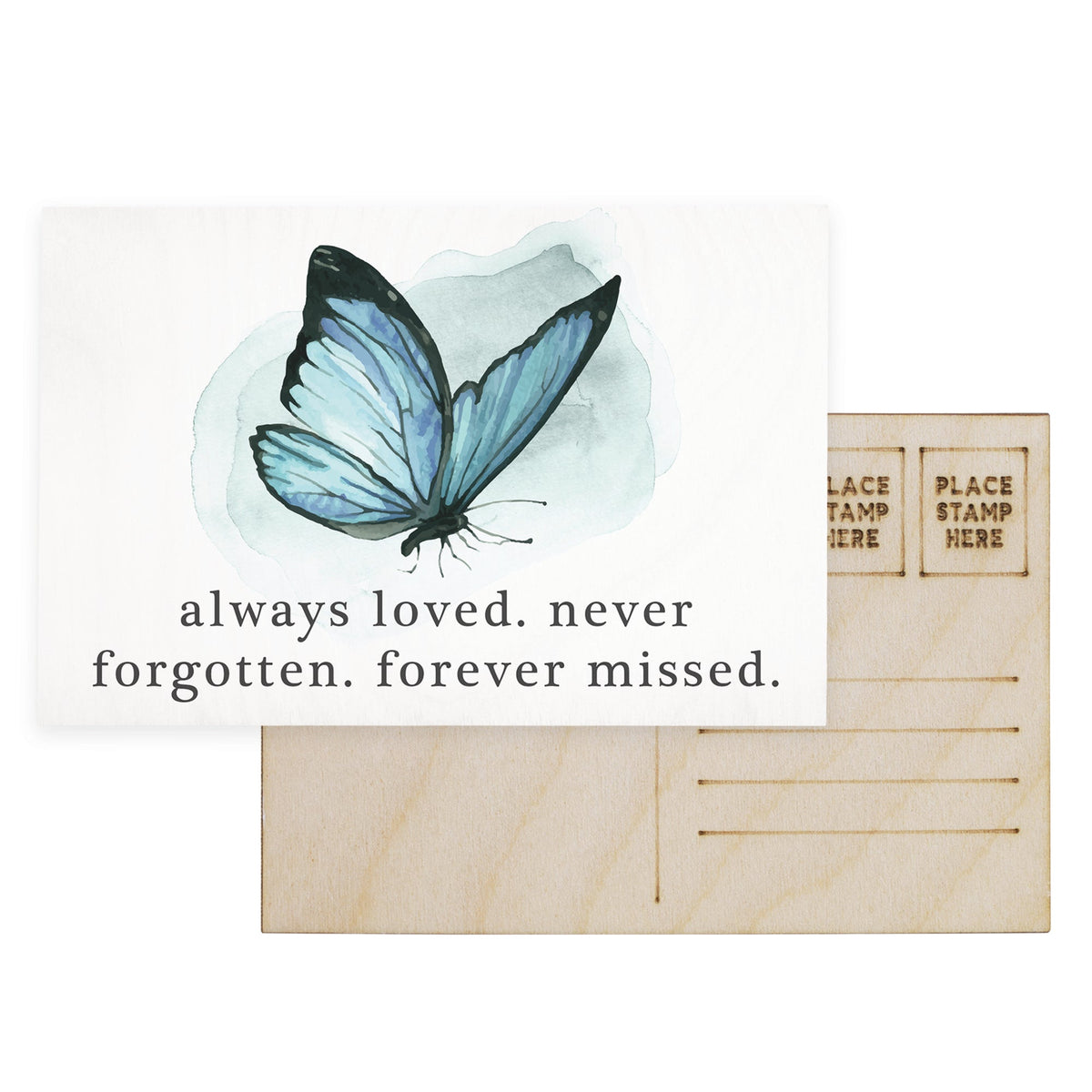 Always Loved Butterfly