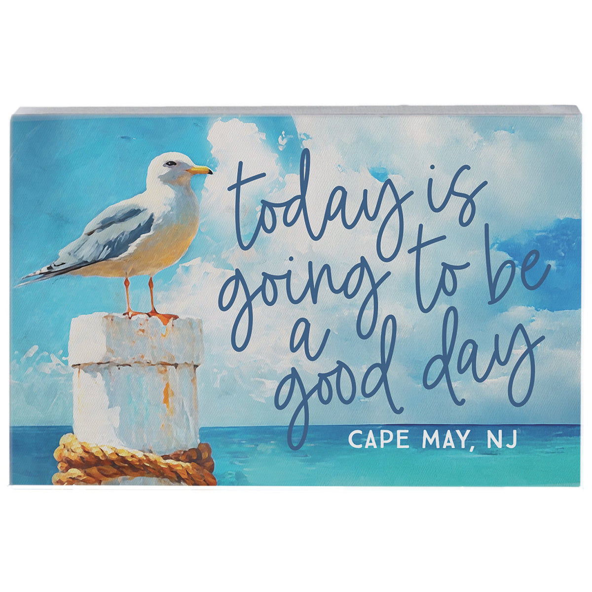 Good Day Seagull LOC