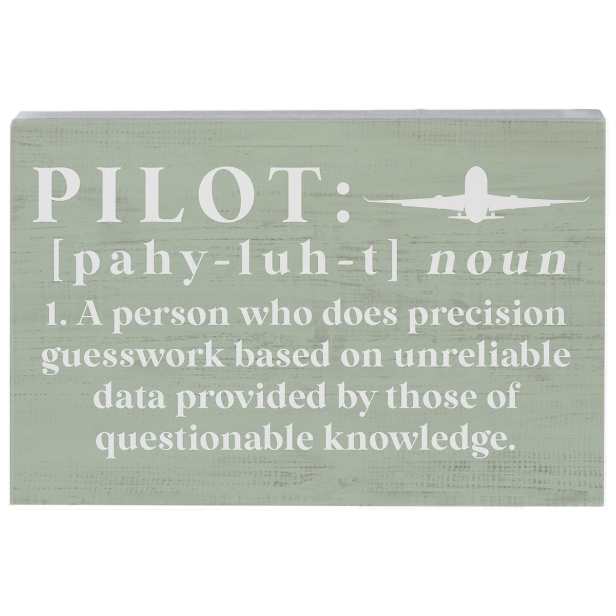 Pilot Definition