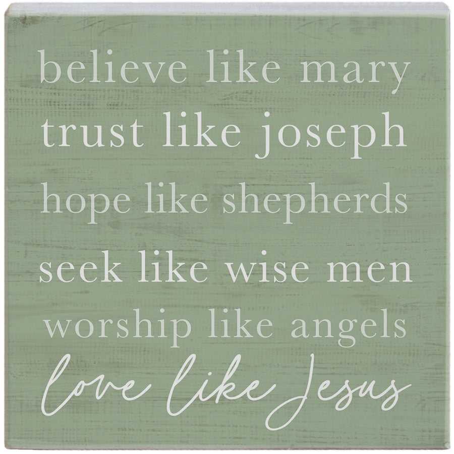 Believe Like Mary