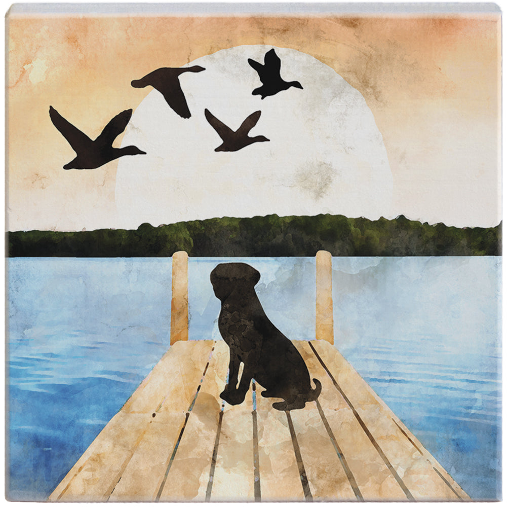 Dog Sunset Lake