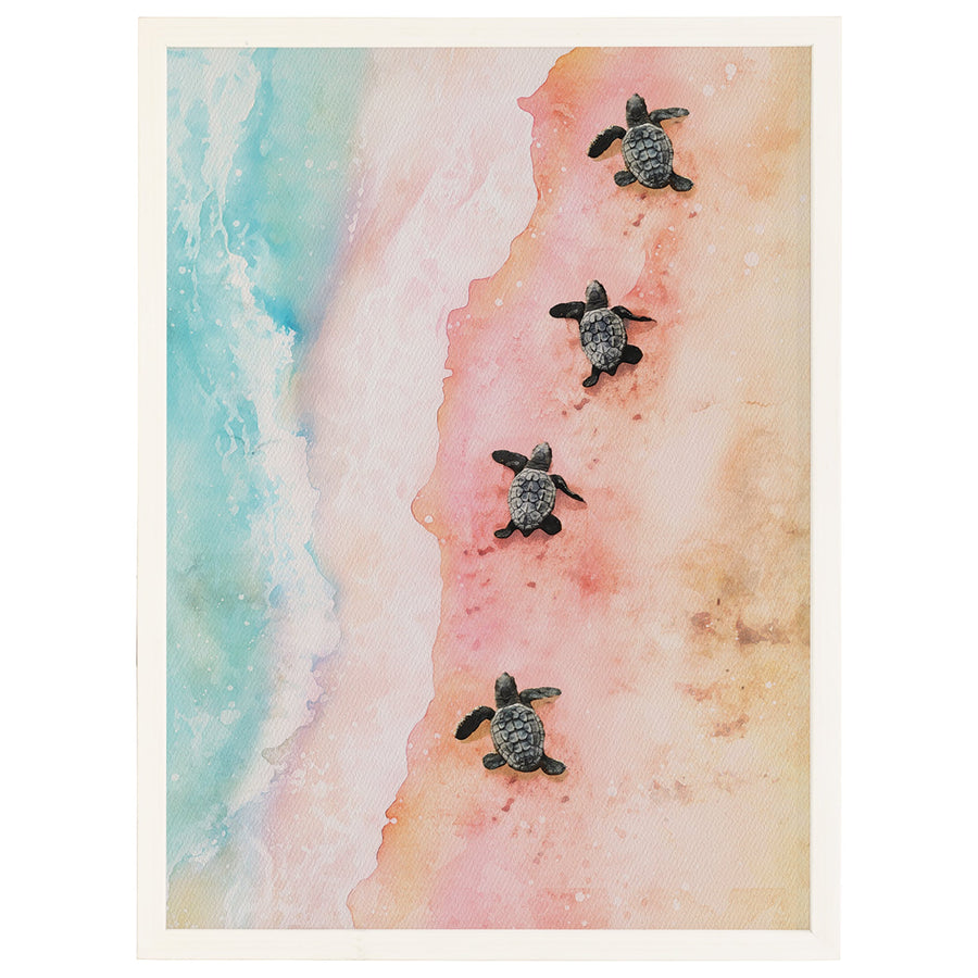 Turtles Sunset Beach