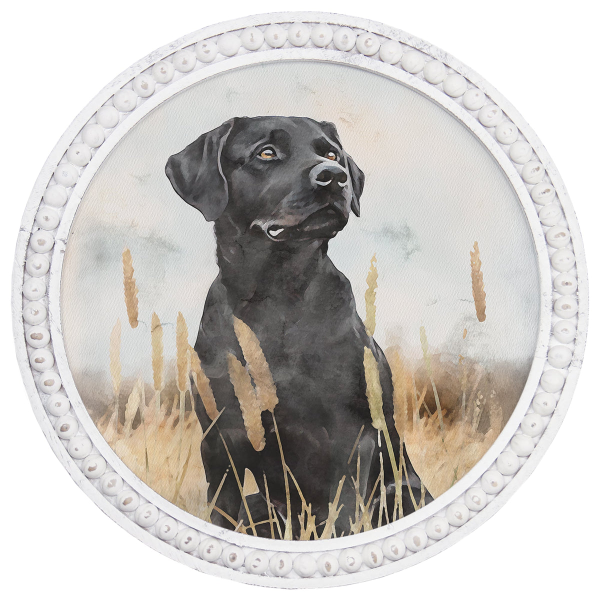 Labrador Grass Scene