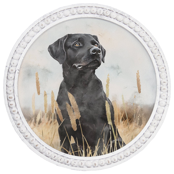 Labrador Grass Scene