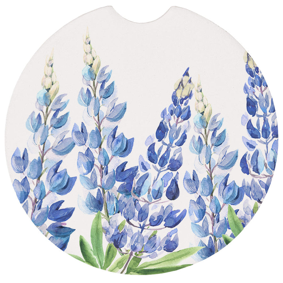 Bluebonnets