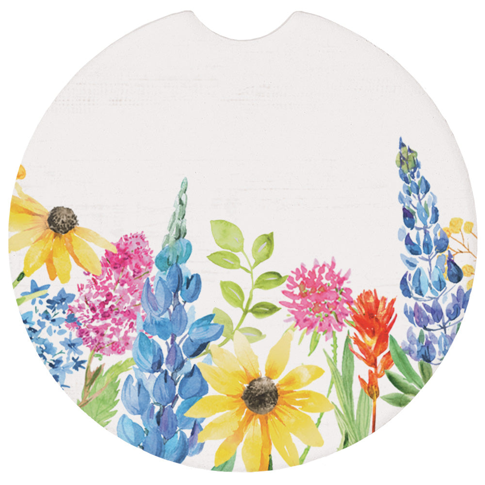 SW Wildflowers