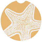 Yellow Starfish