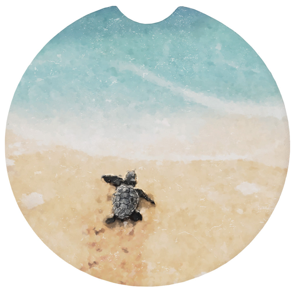 Baby Turtle Scene