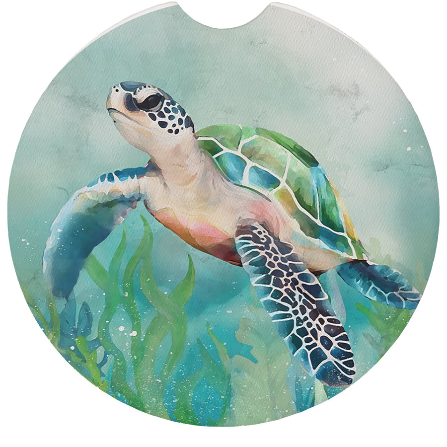 Turtle Coral Scene