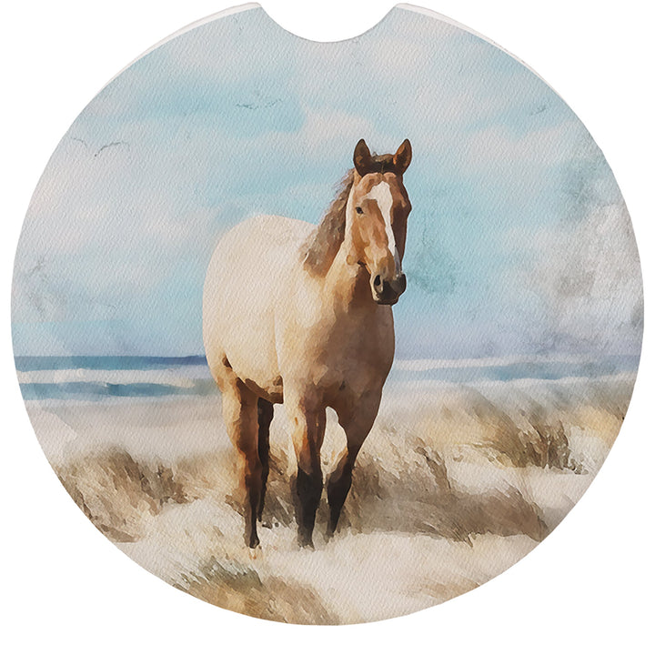 Beach Horse