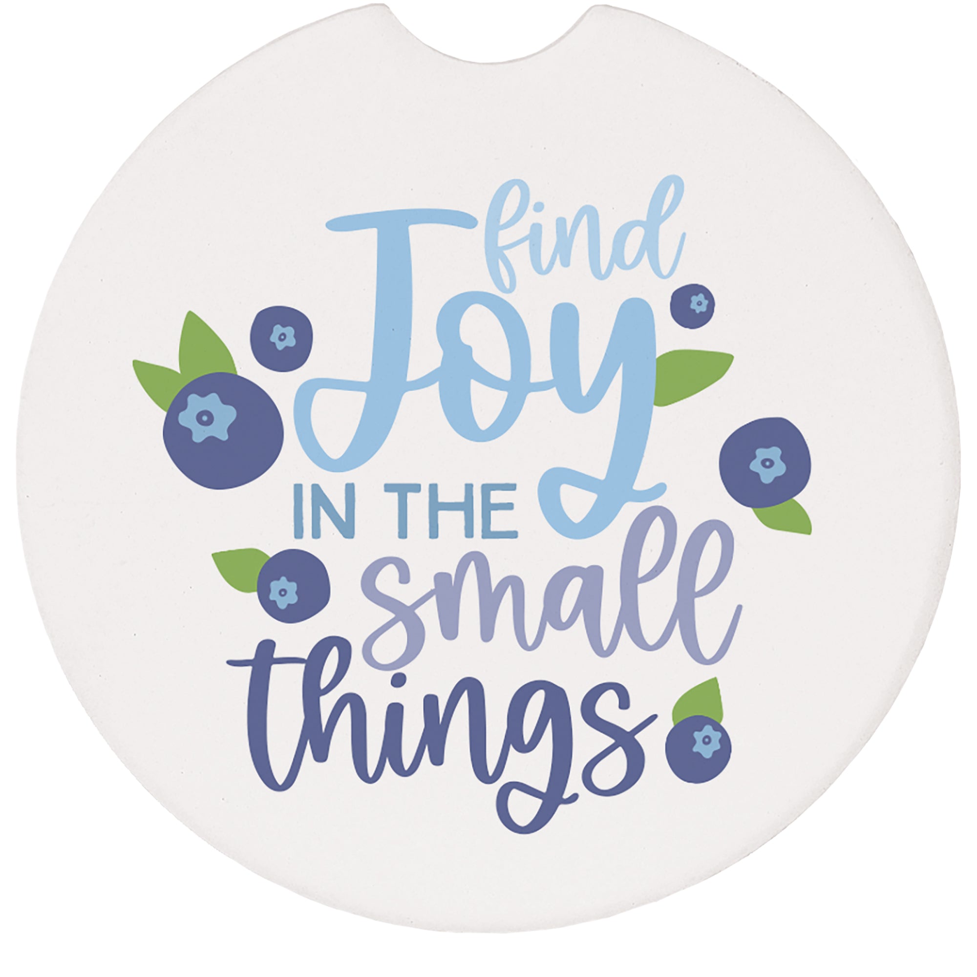 Small Things Blueberries