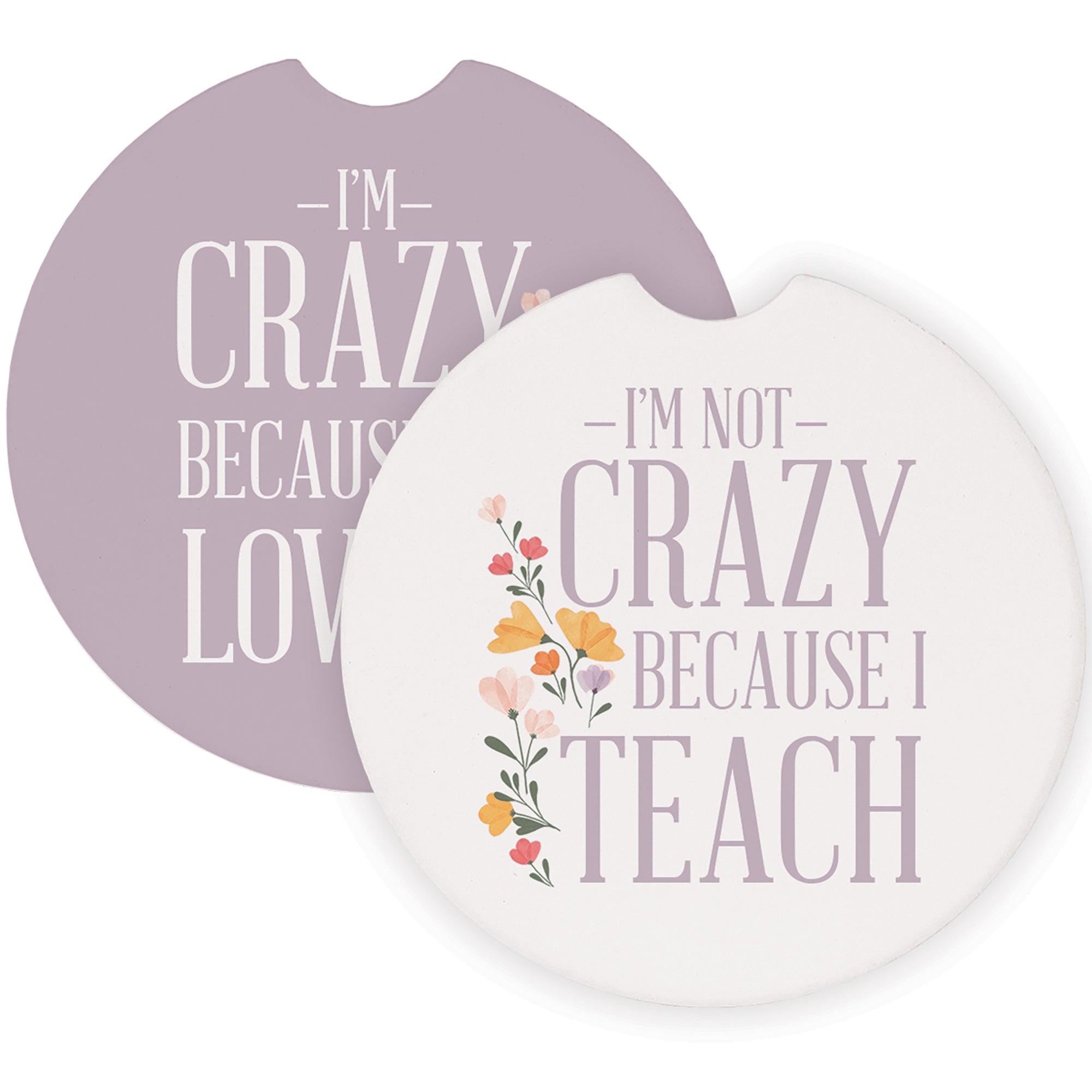 Crazy Teach Love It