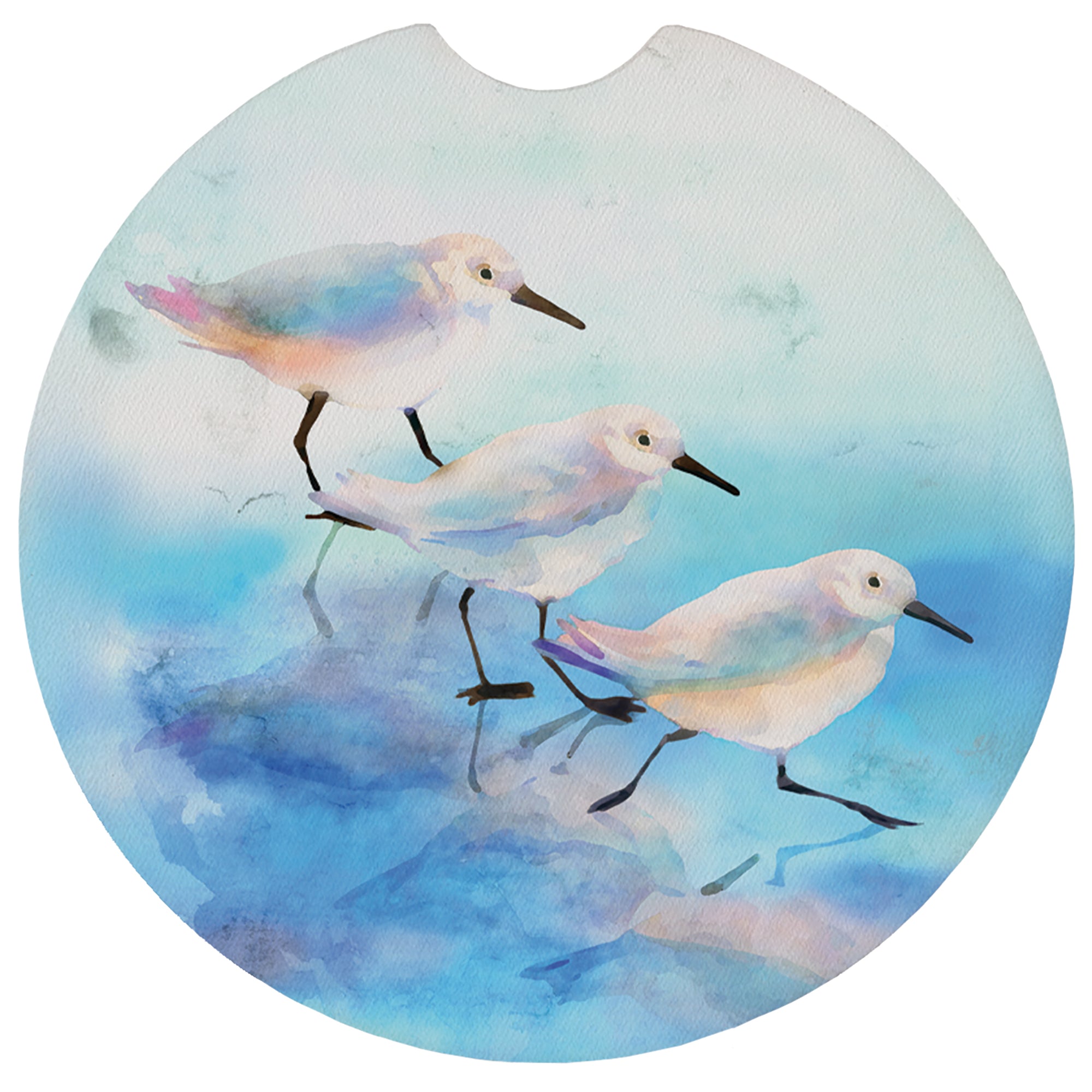 Blue Sandpipers Art