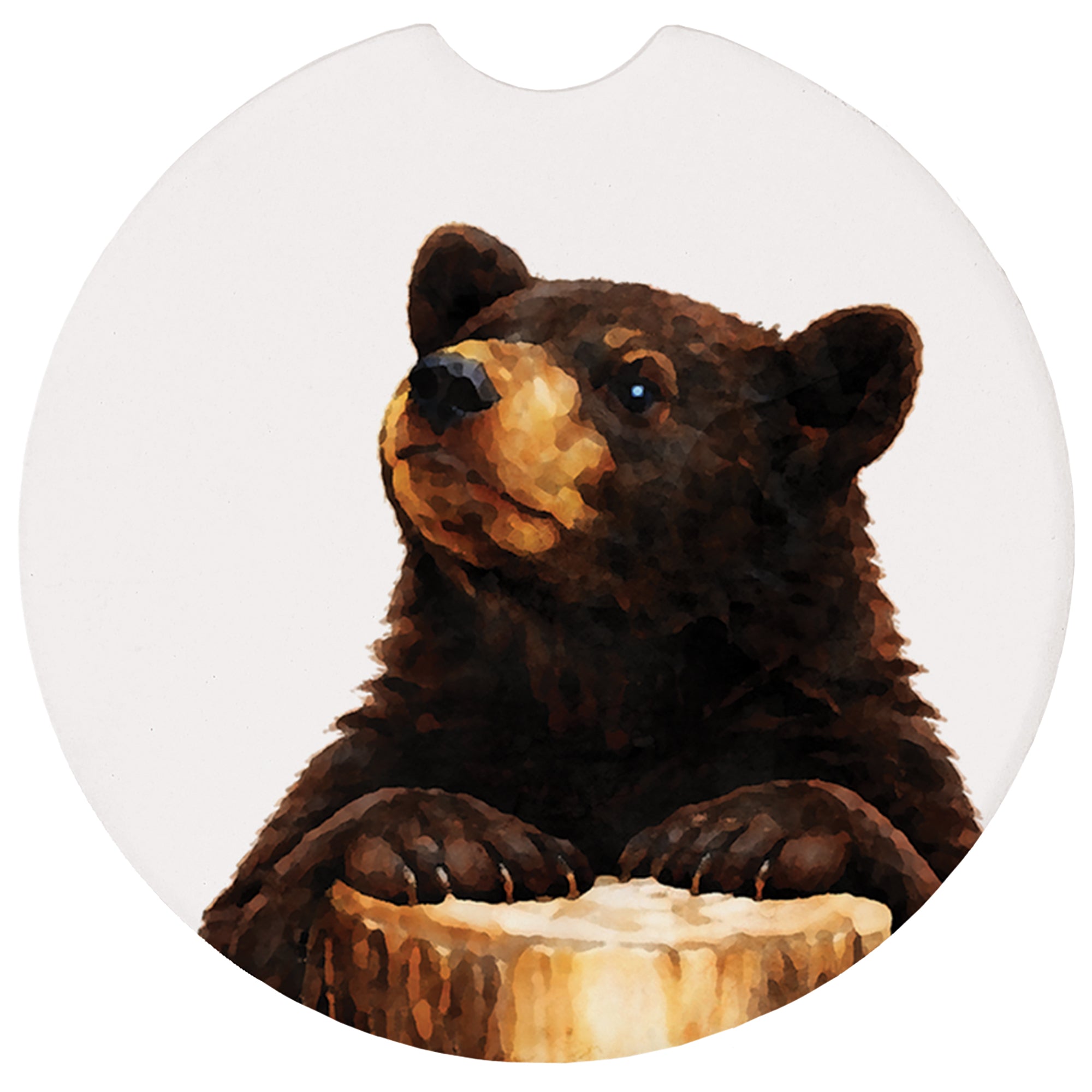 Black Bear