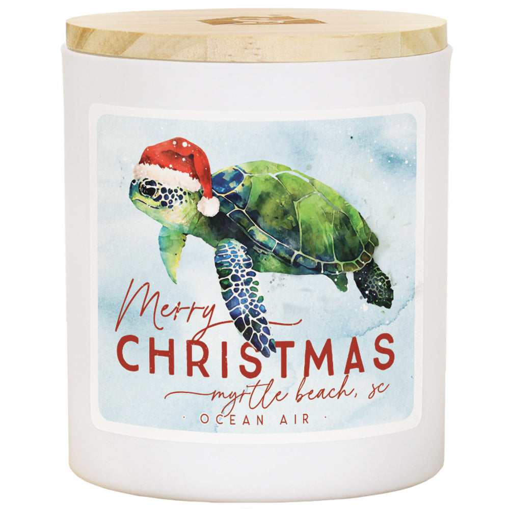 Christmas Turtle LOC - AIR