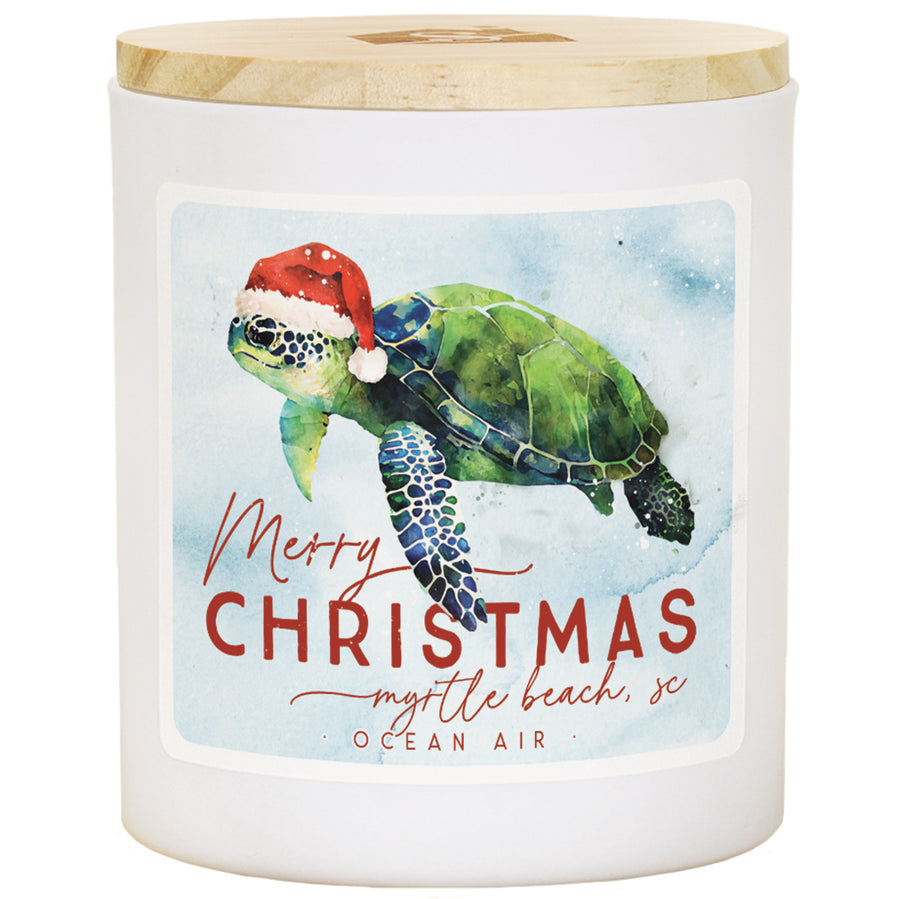 Christmas Turtle LOC - AIR