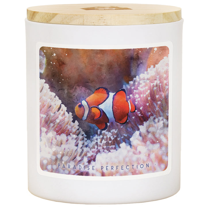 Clownfish Anemone - PAR