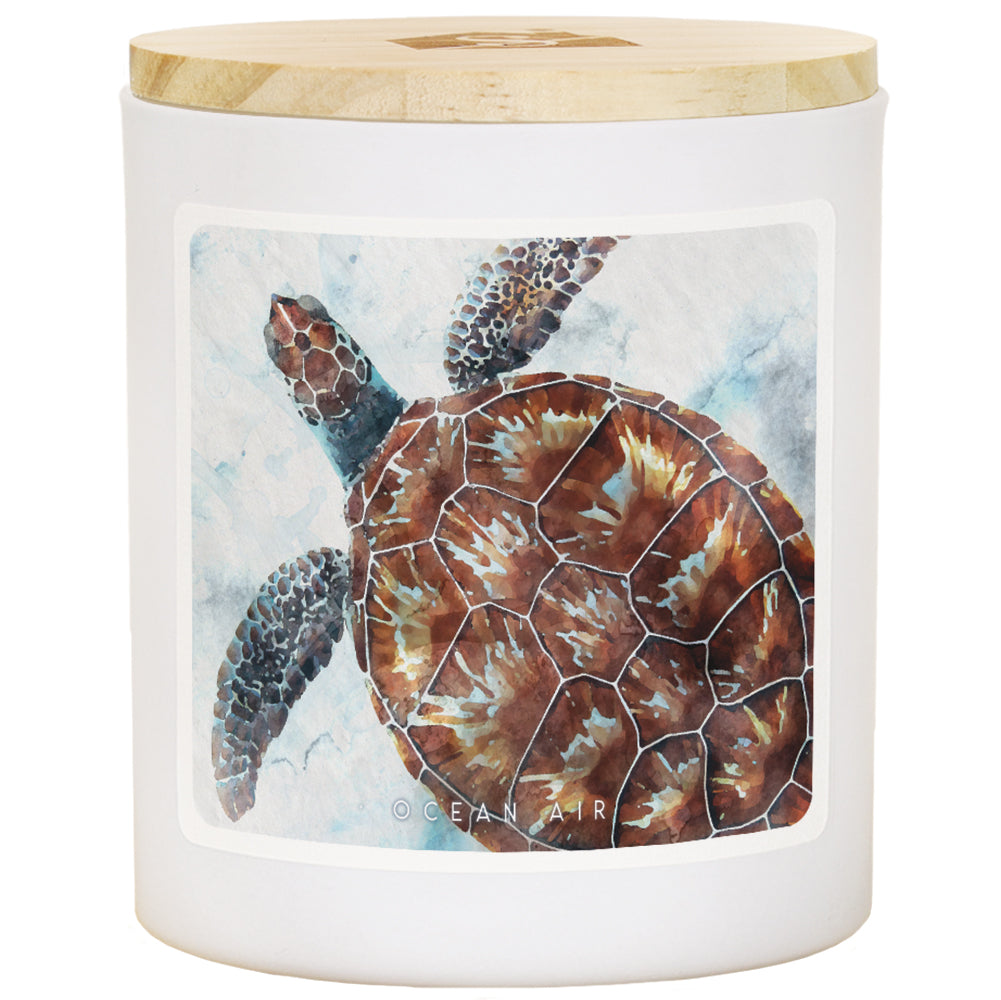 Watercolor Sea Turtle - AIR