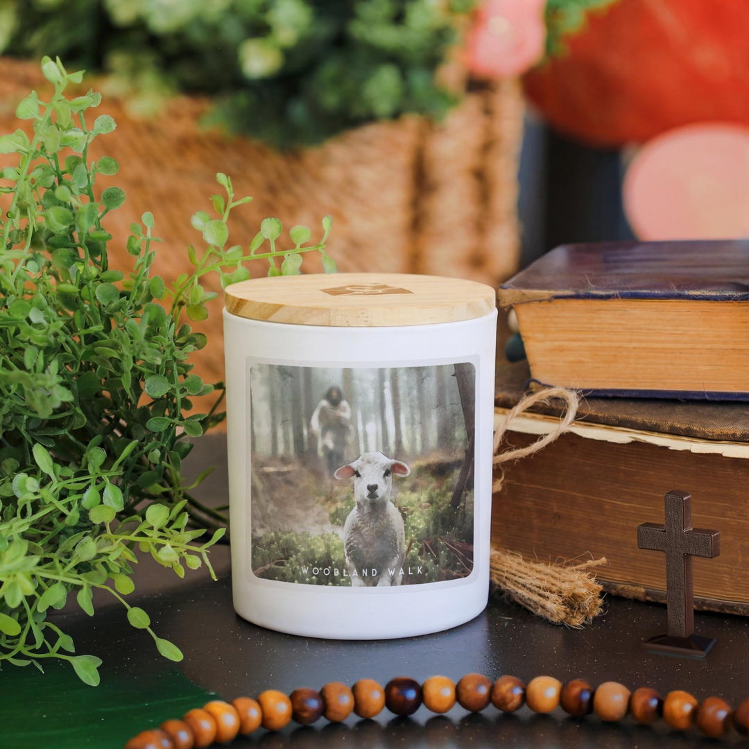 Jesus Rescuing Lamb - WDL