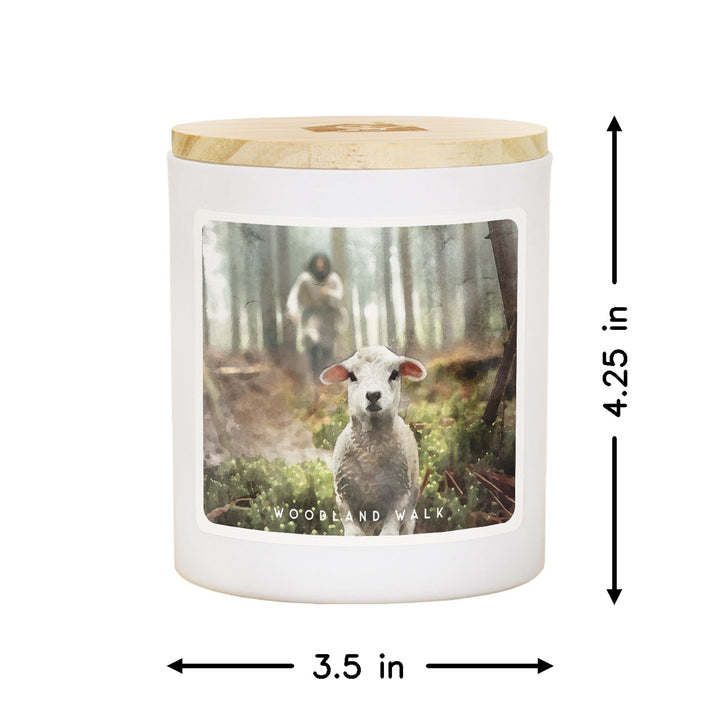 Jesus Rescuing Lamb - WDL