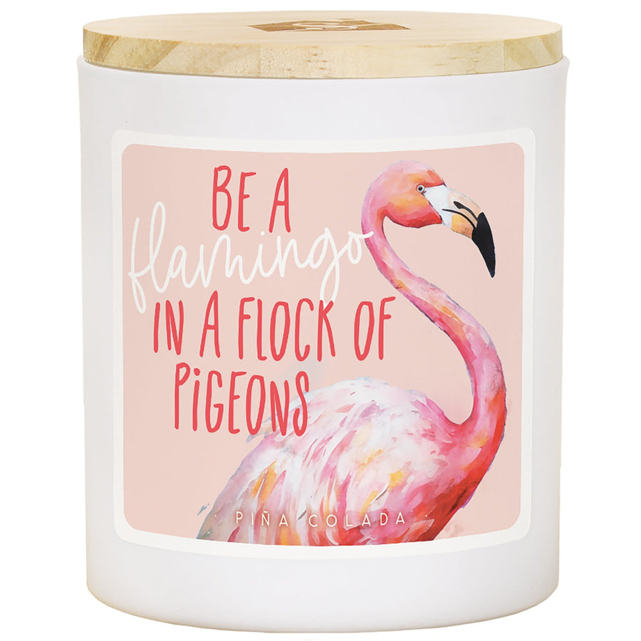 Flamingo Pigeons - PNC