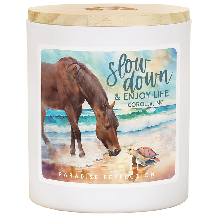 Slow Down Horse LOC - PAR