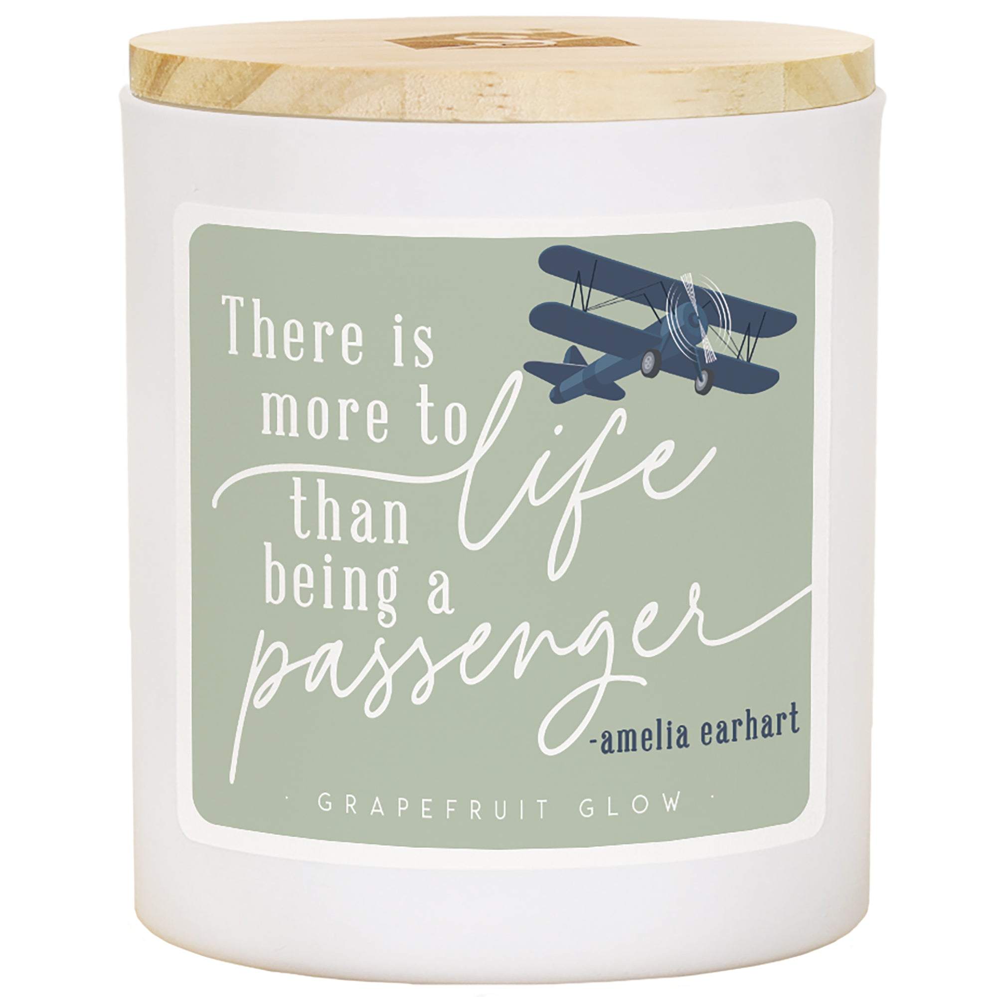 Life Passenger Plane - GRP