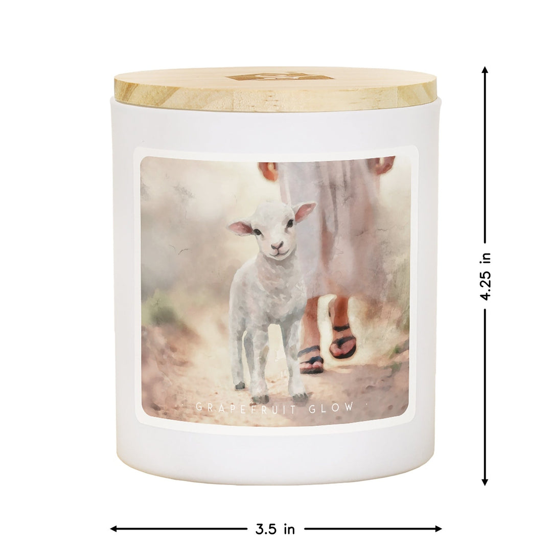 Lamb Walking On Path - GRP