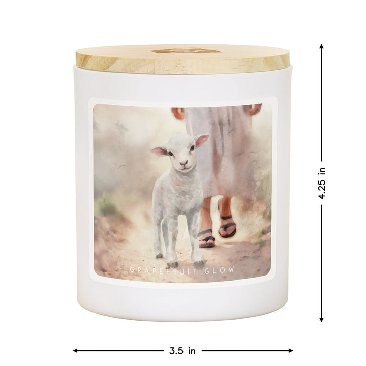 Lamb Walking On Path - GRP