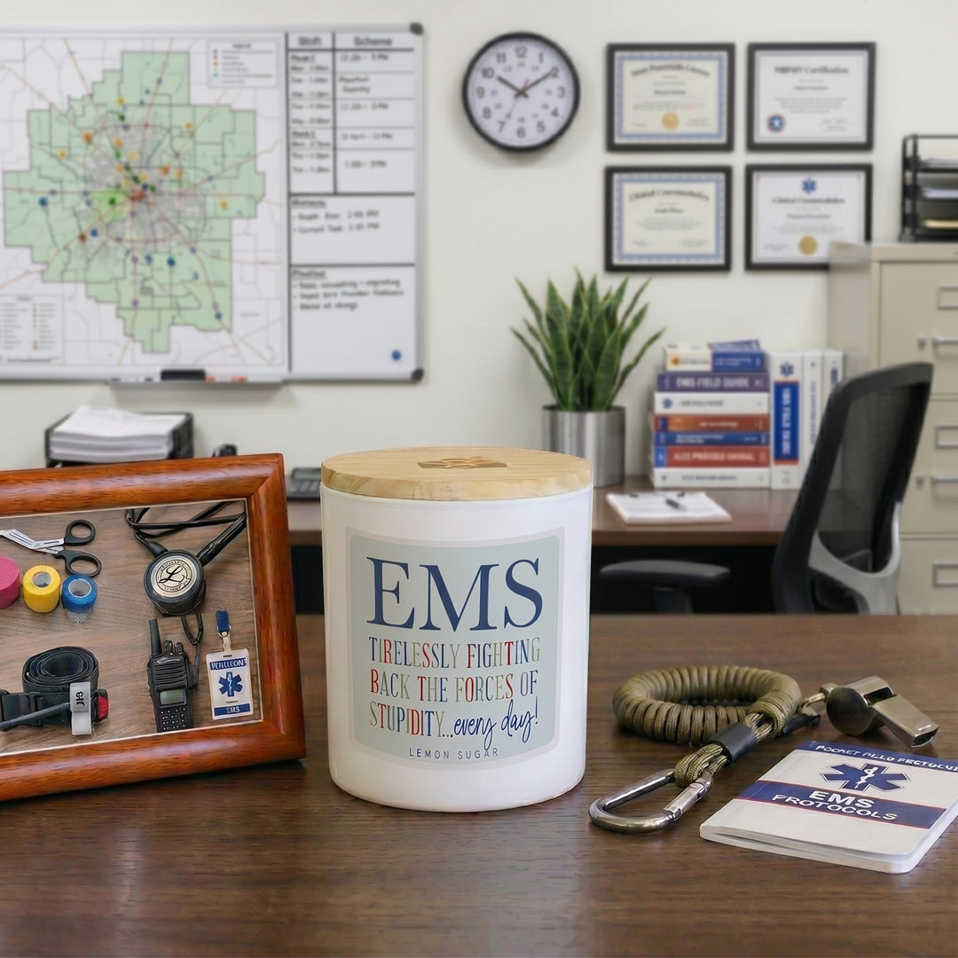 EMS Fighting Stupidity - LEM