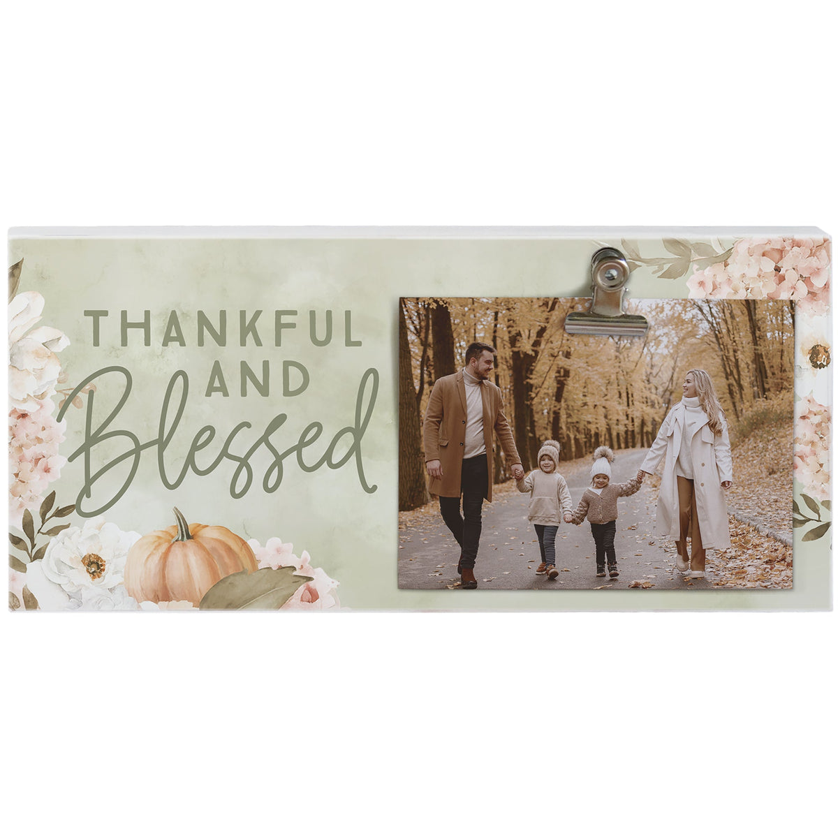 Blessed Fall Hydrangeas