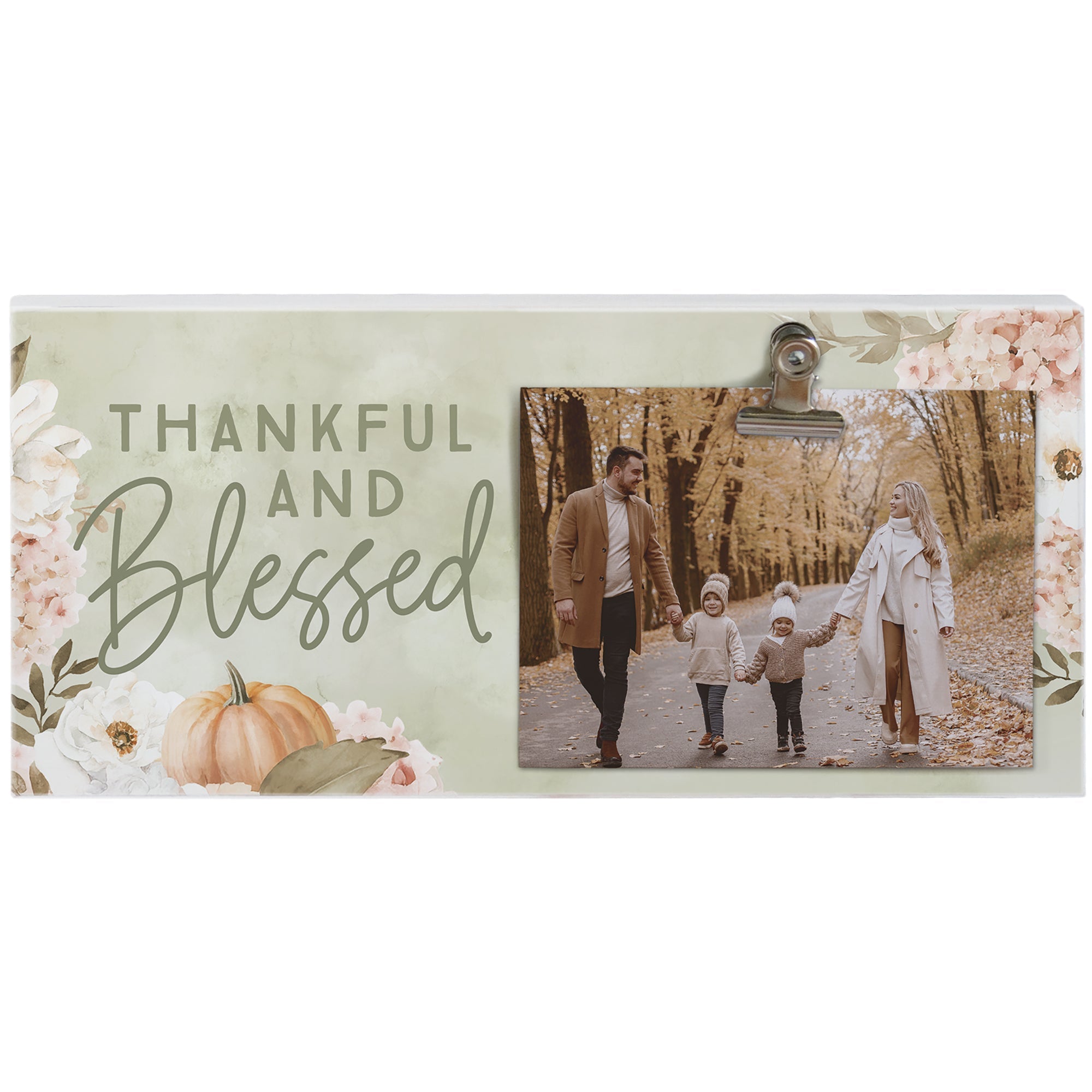 Blessed Fall Hydrangeas