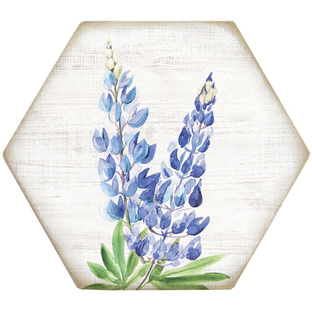 Bluebonnets