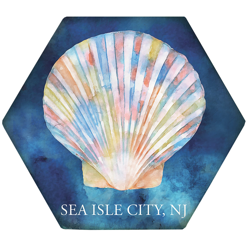 Colorful Seashell LOC