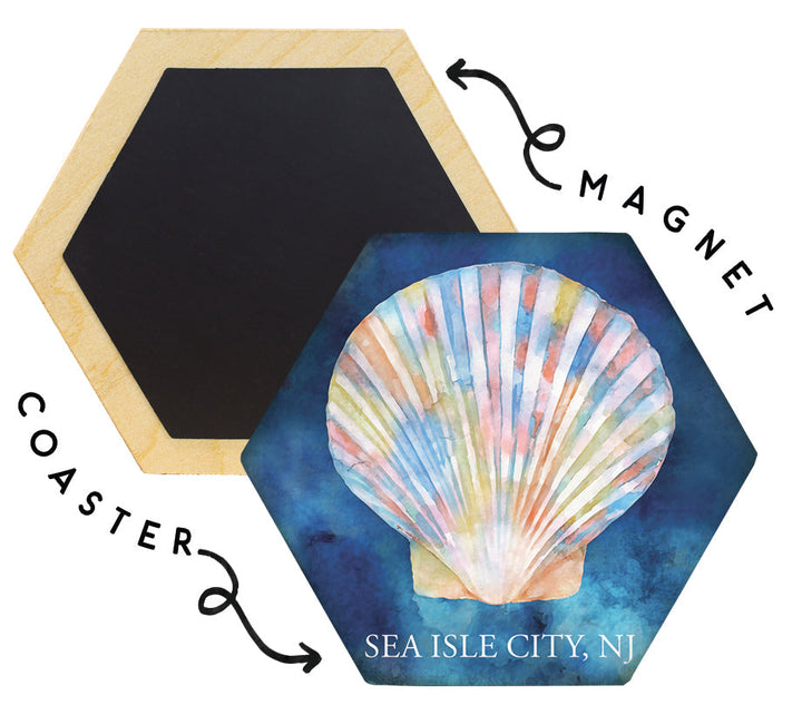 Colorful Seashell LOC