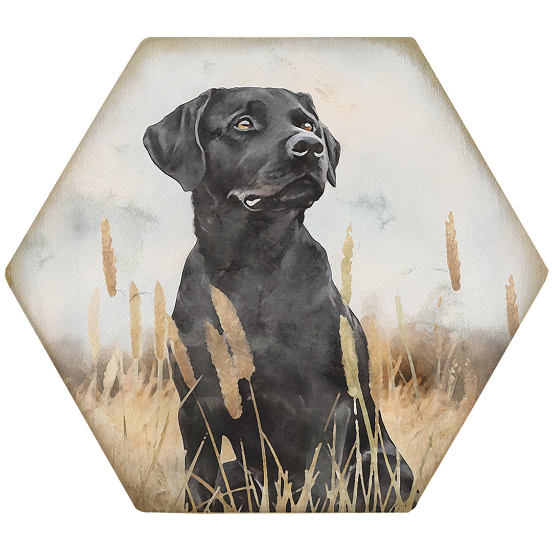 Labrador Grass Scene