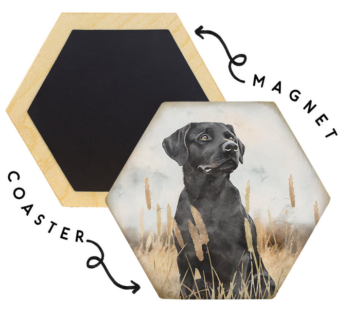 Labrador Grass Scene