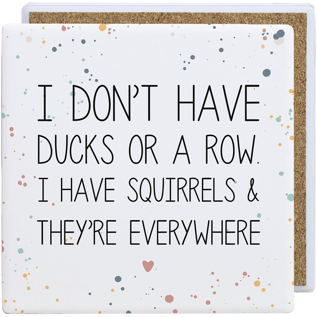 Ducks Squirrels Everywhere