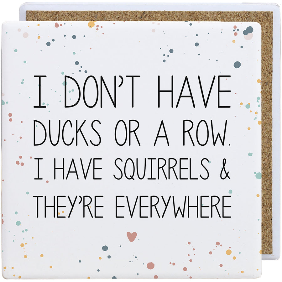 Ducks Squirrels Everywhere