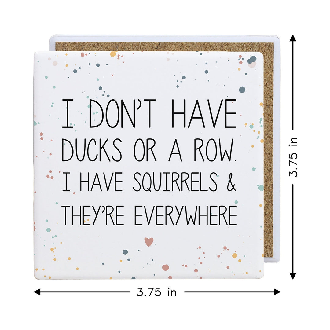 Ducks Squirrels Everywhere