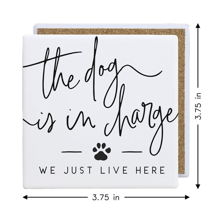 Dog In Charge PER