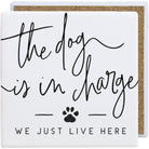 Dog In Charge PER