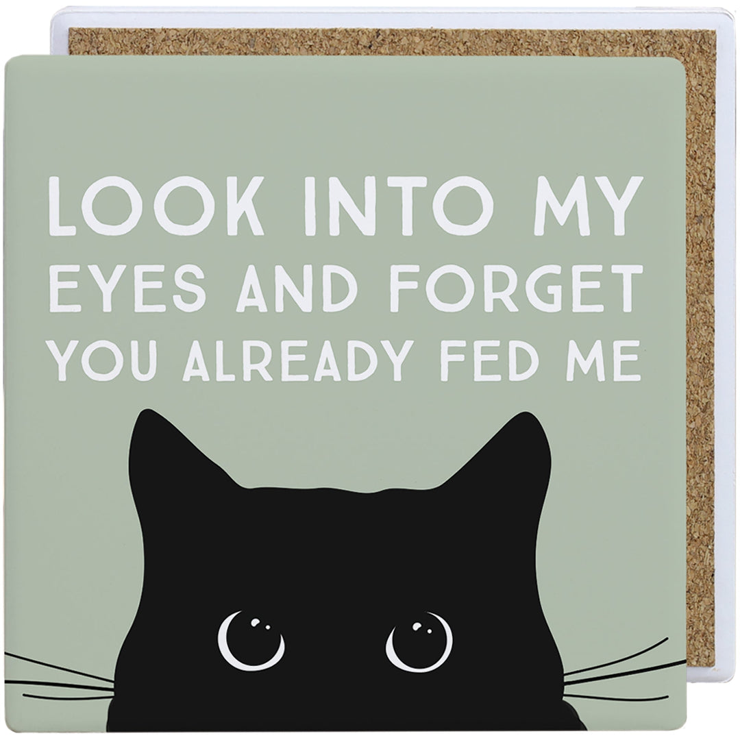 Look Into Eyes Cat