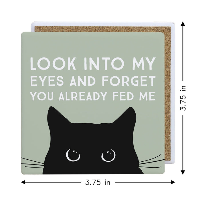 Look Into Eyes Cat